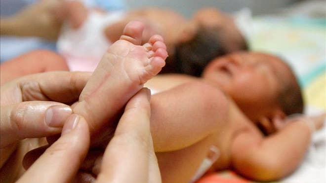 babies popular.jpg
